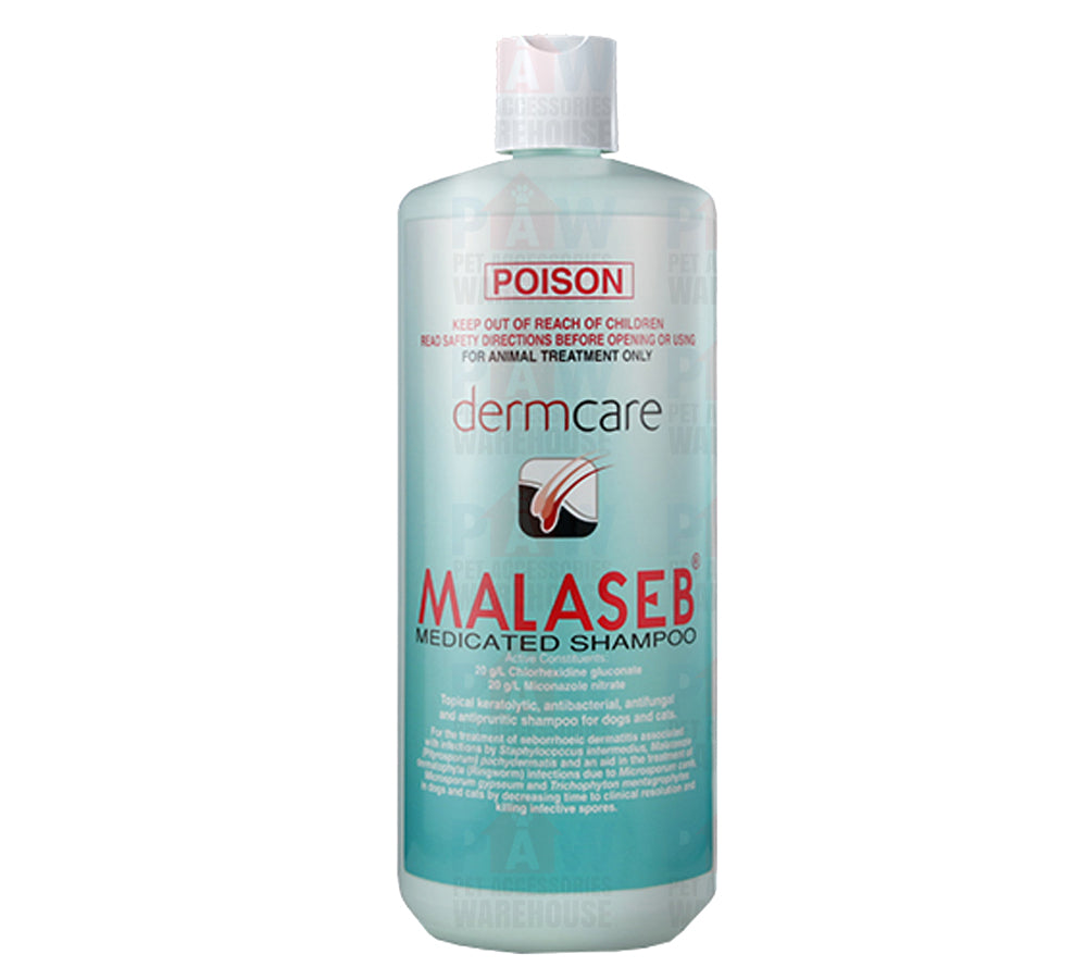 Dermcare malaseb medicated clearance foam