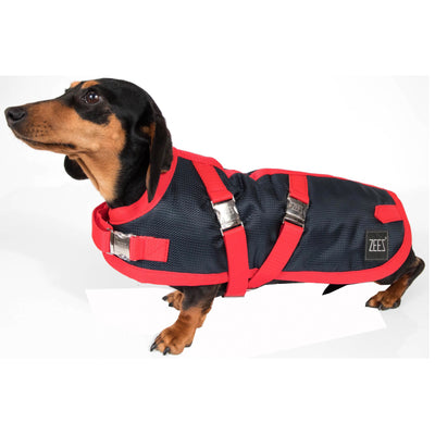 ZEEZ Supreme Dachshund Coat Navy Stone/Red - Size 15 (38cm)