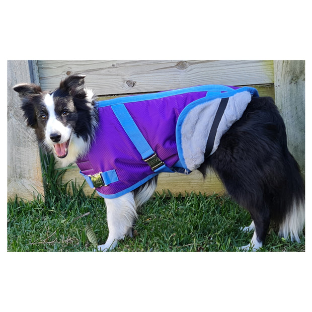 ZEEZ Supreme Dog Coat Grape Purple/Blue - Size 12 (31cm)